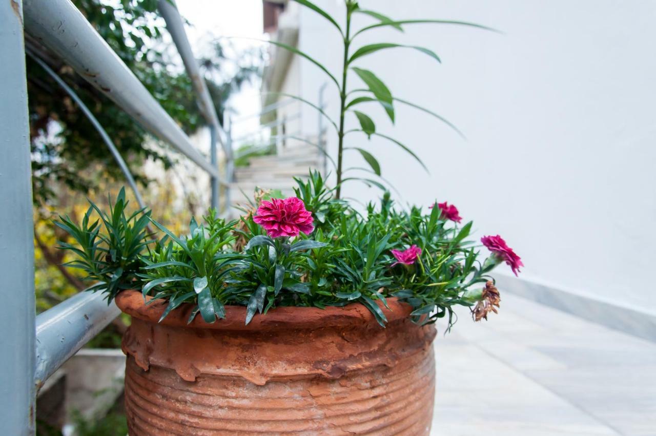 Stephany Apartment Athen Exterior foto